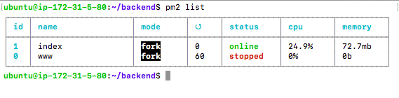 List all PM2 Processes